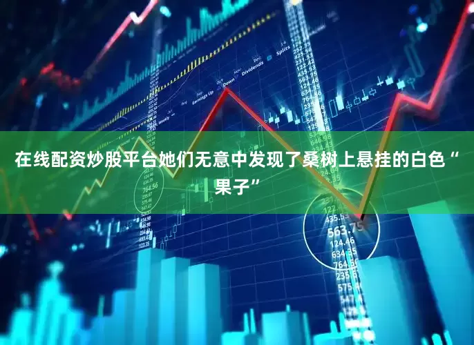 在线配资炒股平台她们无意中发现了桑树上悬挂的白色“果子”